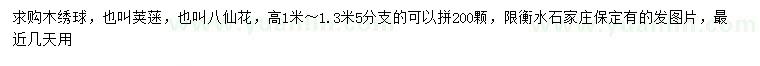 求購高1-1.3米木繡球