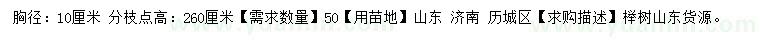 求購(gòu)胸徑10公分櫸樹(shù)