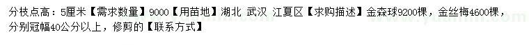 求購冠幅40公分以上金森女貞球、金絲梅