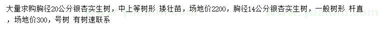 求購(gòu)胸徑14、20公分銀杏
