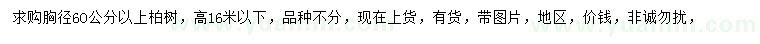 求購胸徑60公分以上柏樹(shù)