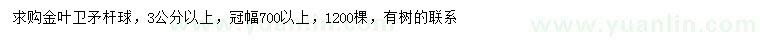 求購3公分以上金葉衛(wèi)矛球