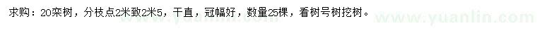 求購20公分欒樹(shù)