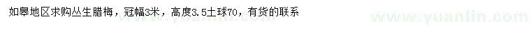 求購高3.5米叢生臘梅