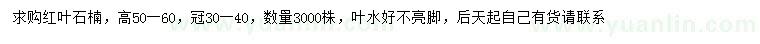 求購高50-60公分紅葉石楠