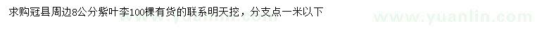 求購8公分紫葉李