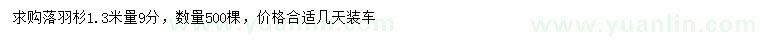 求購1.3米量9公分落羽杉