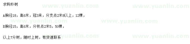 求購胸徑15、18公分樸樹