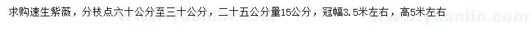 求購(gòu)20量15公分速生紫薇