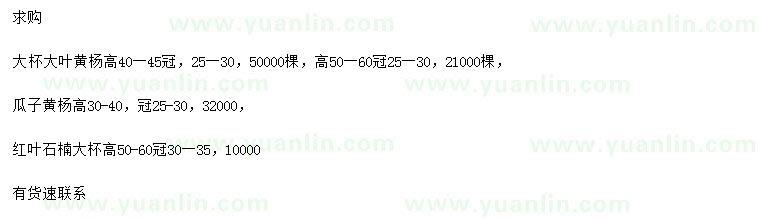 求購(gòu)大葉黃楊、瓜子黃楊、紅葉石楠