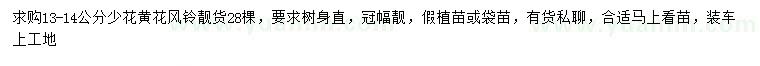 求購(gòu)13-14公分少花黃花風(fēng)鈴
