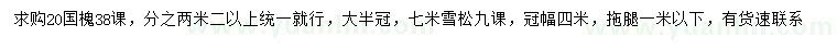 求購20公分國槐、7米雪松