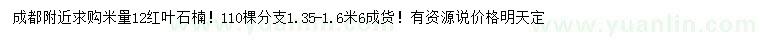 求購米徑12公分紅葉石楠