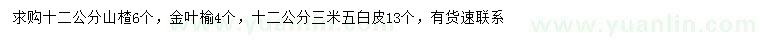 求購山楂、金葉榆、白皮松