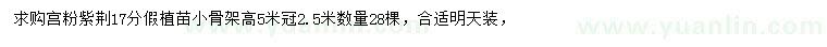 求購(gòu)17公分宮粉紫荊