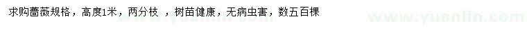 求購高1米薔薇