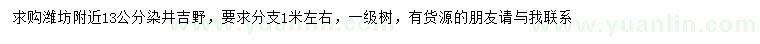 求購13公分染井吉野