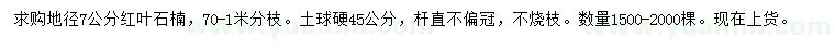 求購地徑7公分紅葉石楠