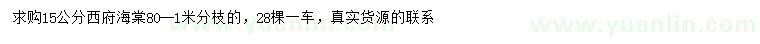 求購15公分西府海棠