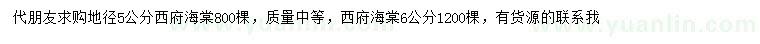 求購地徑5、6公分西府海棠