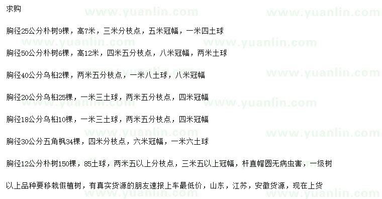 求購(gòu)樸樹(shù)、烏桕、五角楓