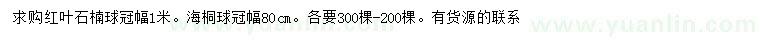 求購冠幅1米紅葉石楠球、冠幅80公分海桐球