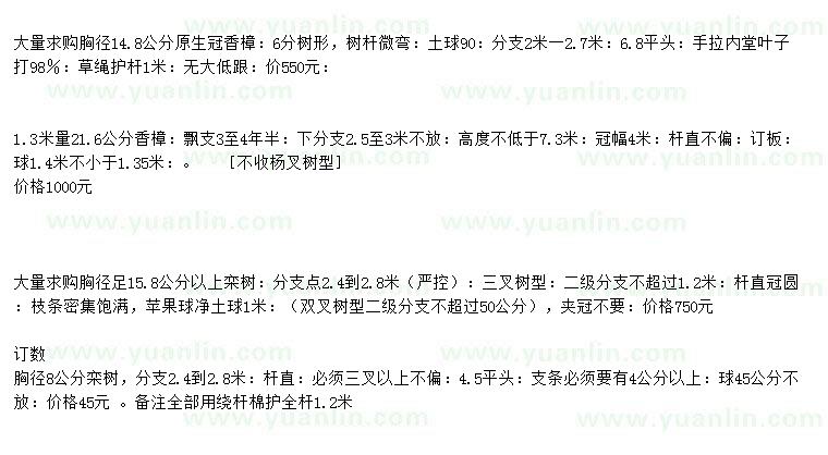 求購14.8公分原生冠香樟