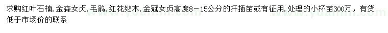 求購(gòu)8-15公分金冠女貞