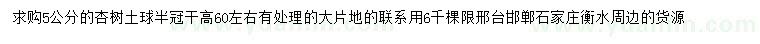 求購5公分杏樹