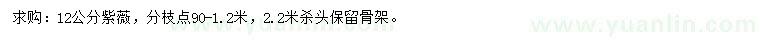 求購12公分紫薇