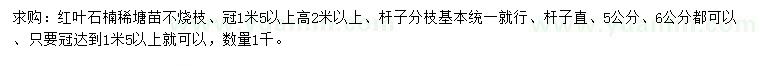 求購6公分以上高桿紅葉石楠