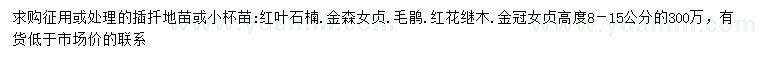 求購8-15公分金冠女貞
