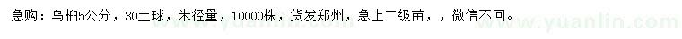 求購米徑5公分烏桕
