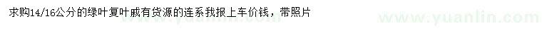 求購14、16公分綠葉復(fù)葉槭