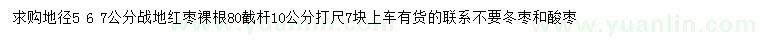 求購5-7公分戰(zhàn)地紅棗