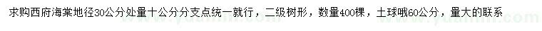 求購30公分西府海棠