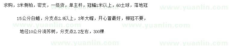 求購(gòu)3米側(cè)柏