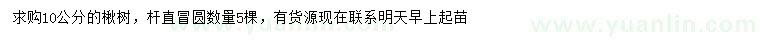 求購(gòu)10公分楸樹