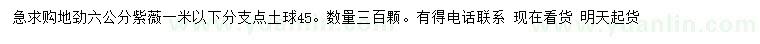 求購地徑6公分紫薇