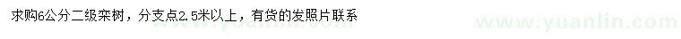 求購(gòu)6公分欒樹(shù)
