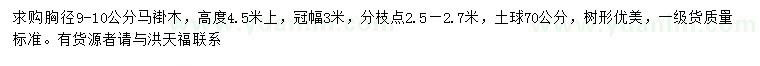 求購胸徑9-10公分馬褂木