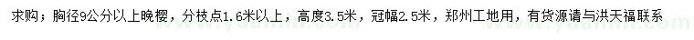 求購胸徑9公分以上晚櫻
