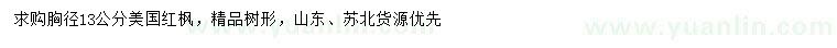 求購胸徑13公分美國紅楓