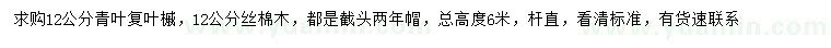 求購12公分青葉復(fù)葉槭、絲棉木