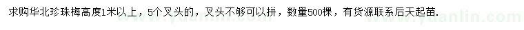 求購高1米珍珠梅