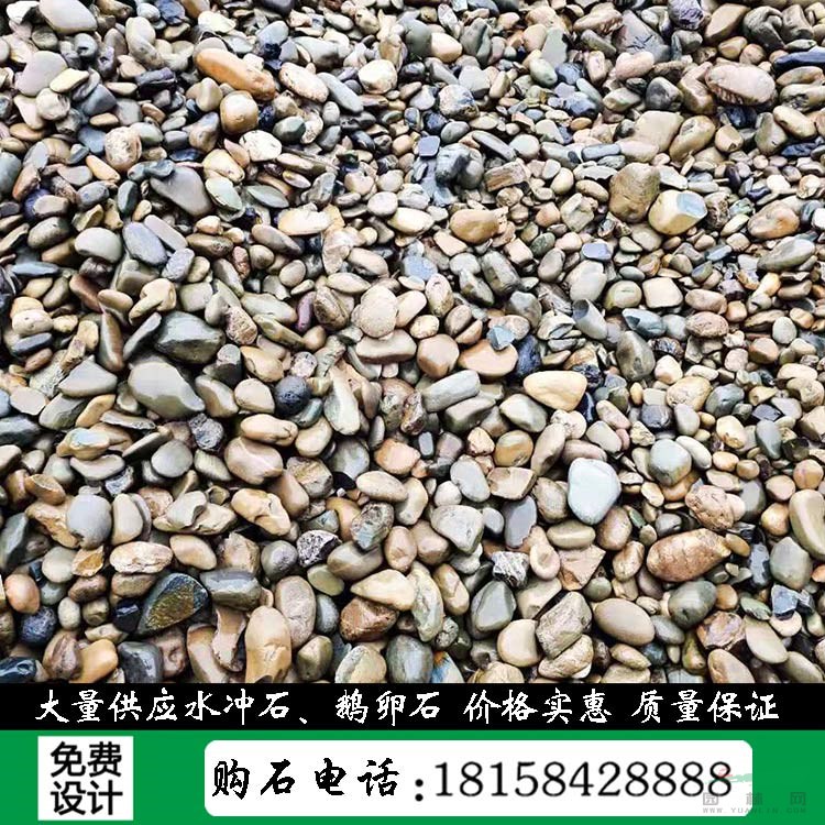 園林景觀石杭州鵝卵石河道直發(fā)