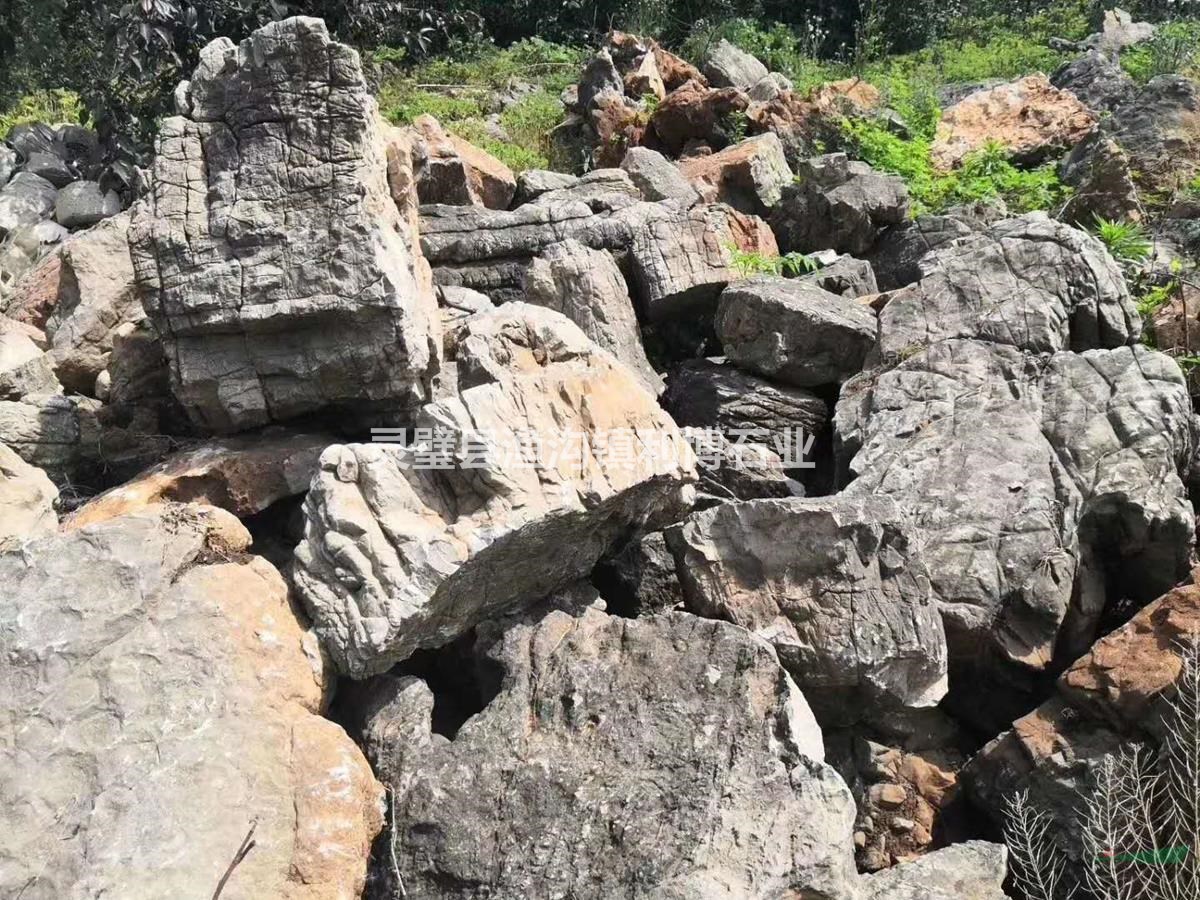 安徽假山施工黑千層基地/假山施工制作團隊