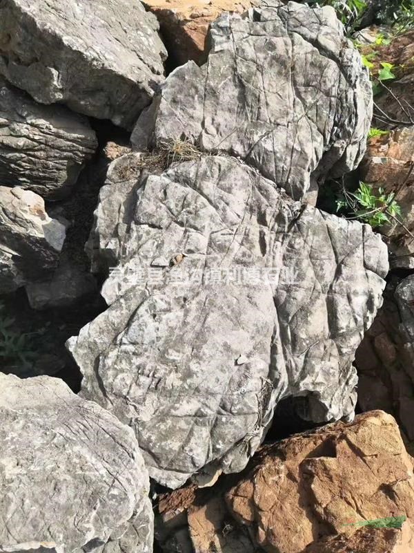 宿州黑千層石景觀石批發(fā)銷售/安徽黑千層石廠家直銷