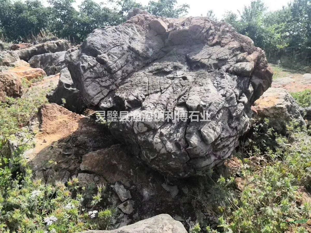 假山施工黑千層石園林綠化工程施工