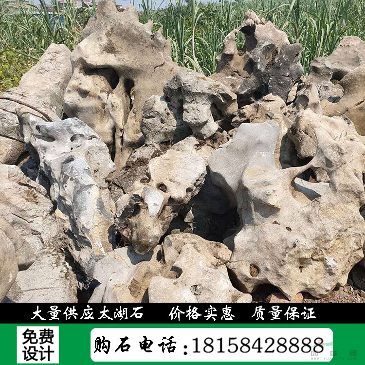 浙江太湖石產(chǎn)地直銷各類景觀石風景石